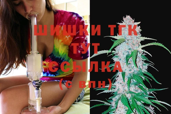 spice Алексин