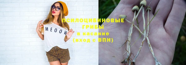 ECSTASY Алзамай
