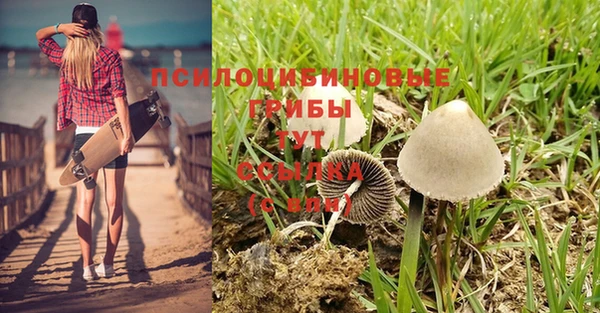 каннабис Алексеевка