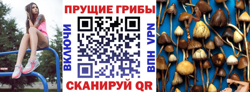 купить  сайты  ссылка на мегу   Псилоцибиновые грибы ЛСД  Крымск 