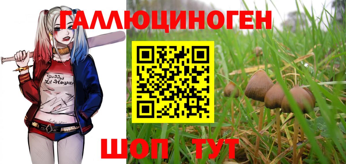 Галлюциногенные грибы Magic Shrooms  Псилоцибиновые грибы ЛСД  Вход с VPN  Крымск 